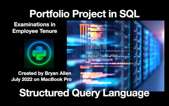 SQL Portfolio Project